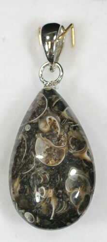 Fossil Turritella (Gastropod) Pendant - Wyoming #9074